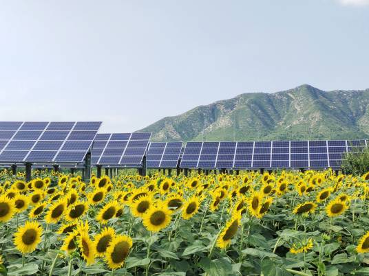 照片（图片名称）