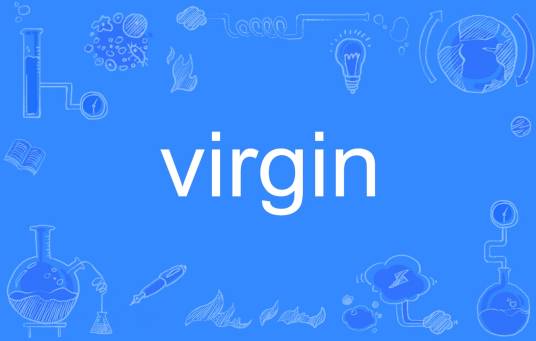 Virgin（英文单词）