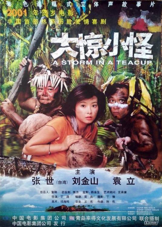 大惊小怪（2000年丁晟执导的喜剧电影）