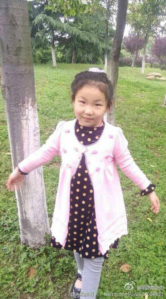 王彦雯（江苏省扬州市被杀女孩）