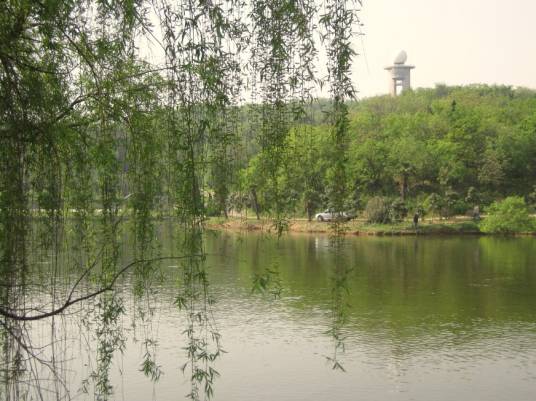 龙王山（南京市浦口区旅游景点）