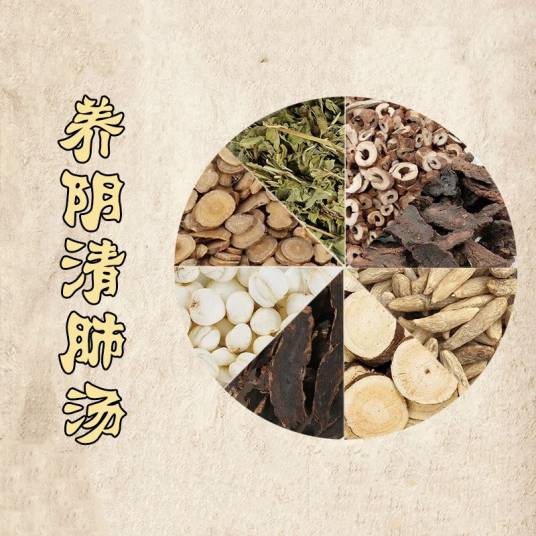 养阴清肺汤