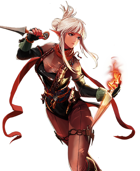 忍者（网游《地下城与勇士》中暗夜使者转职的职业）