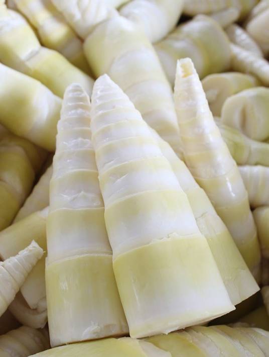 笋（竹的幼芽）