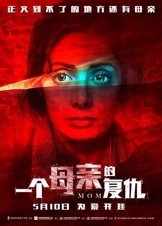 一个母亲的复仇