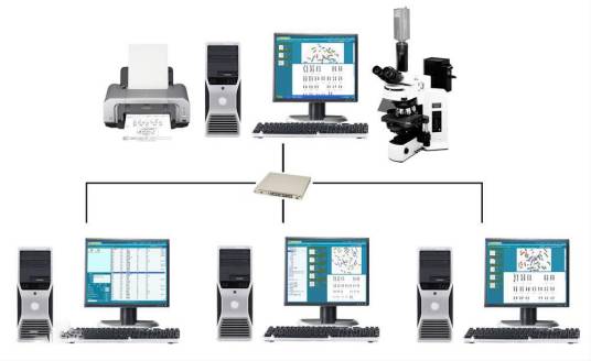 染色体核型分析系统