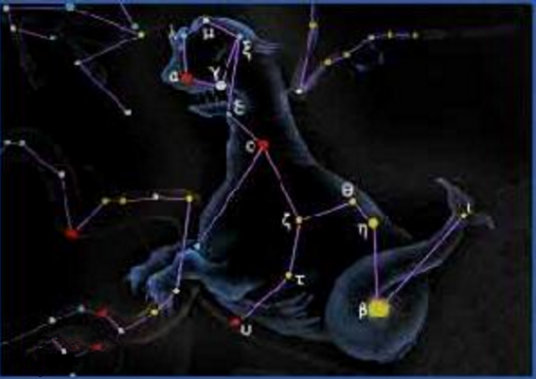 Cetus（希腊神话中由诸神创造的海怪）