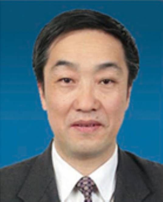 杨建民（上海交通大学博士生导师）