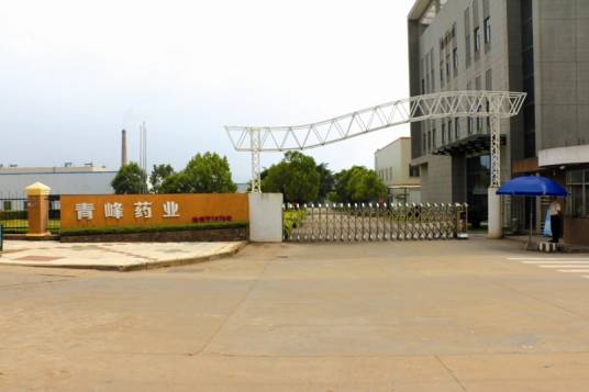 江西青峰药业有限公司
