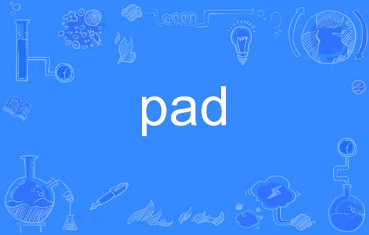 pad（英语单词）