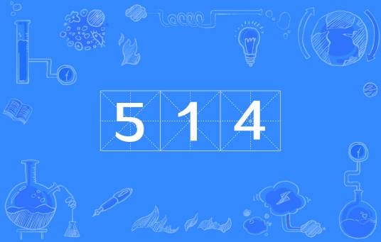 514（网络词汇）