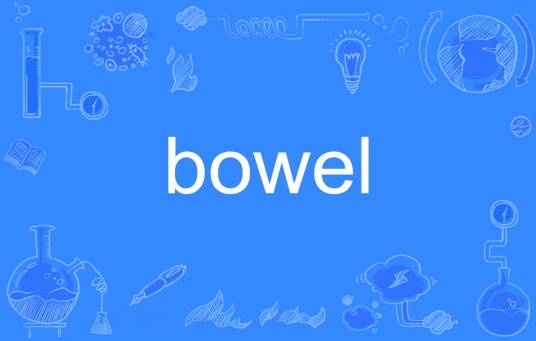 bowel