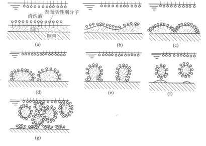 阴离子型表面活性剂