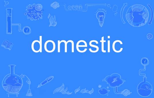 Domestic（英语单词）