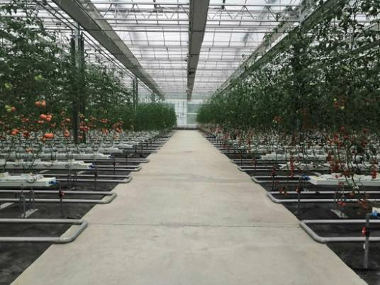 延边国贸农业园