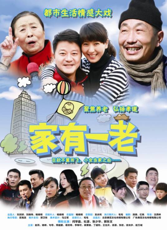 家有一老（2013年沈燕林执导的电视剧）