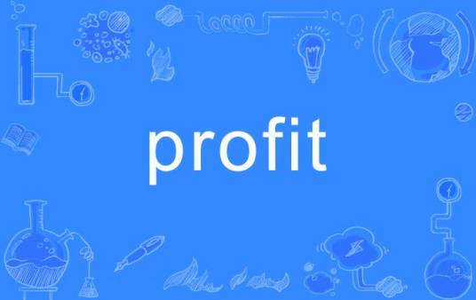 profit（英语单词）