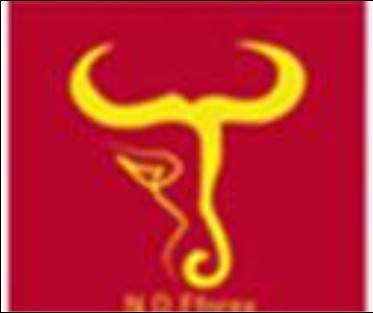 NDF（公司缩写）