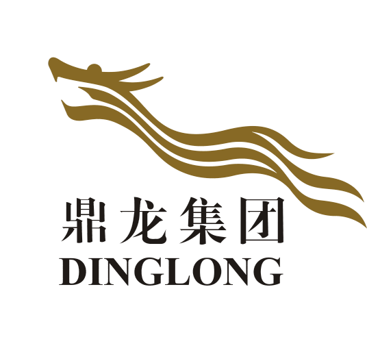 广东鼎龙实业集团有限公司