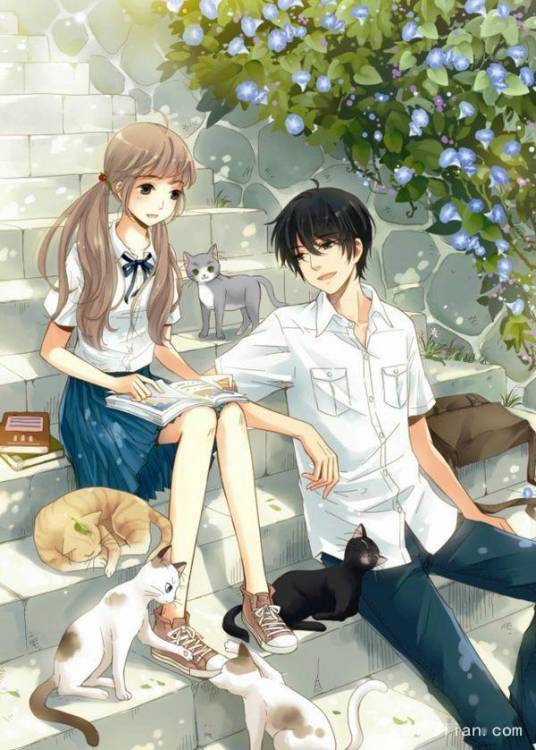 草食男女（词语）