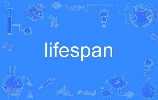 lifespan（英语单词）