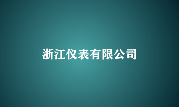 浙江仪表有限公司