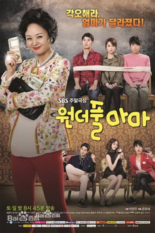 完美妈妈（2013年SBS由裴宗玉、郑柔美主演韩剧）