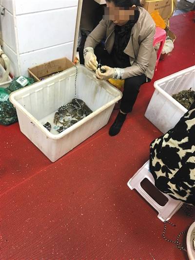 假阳澄湖大闸蟹