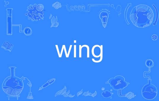 wing（英语单词）