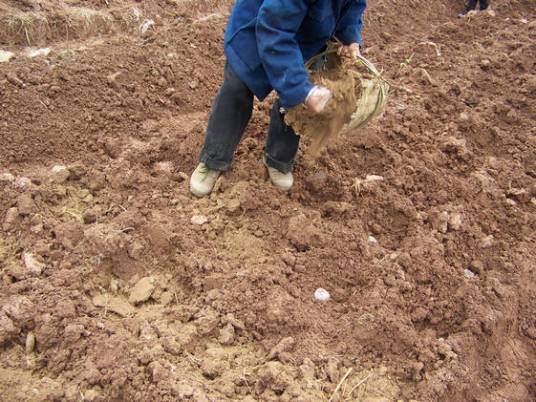 有机肥料（有机物质和生长所需的营养物质）