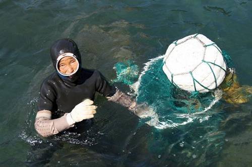 海女（职业名称）