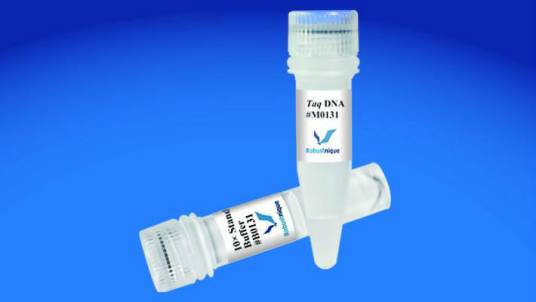 TaqDNA聚合酶（生物术语）