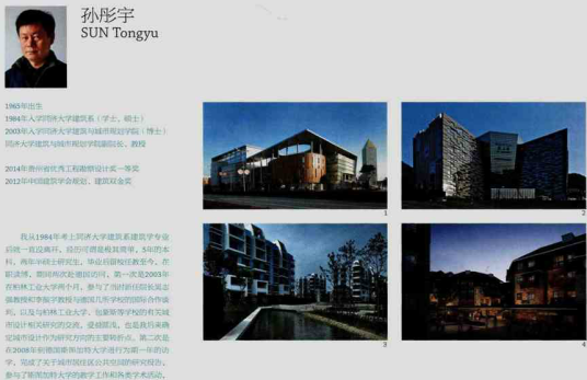 孙彤宇（同济大学建筑系教授、博士生导师）