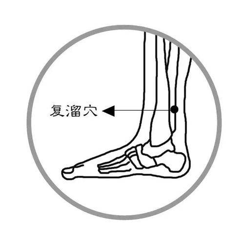 复溜穴