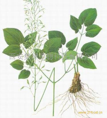 甙（有机化合物的一类）