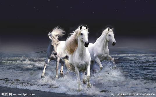 骏马（汉语词汇）