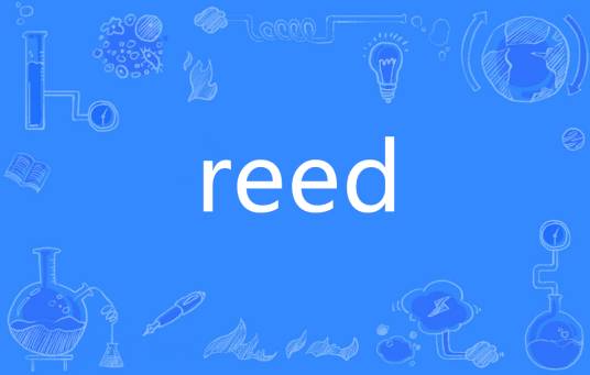 reed（英语单词）