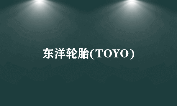 东洋轮胎(TOYO)