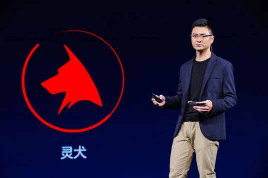 陈林（大力教育CEO）