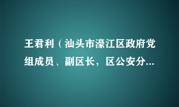王君利（汕头市濠江区政府党组成员、副区长，区公安分局局长）