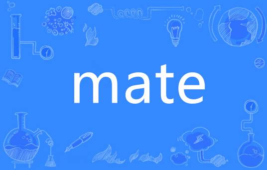 mate（英文单词）