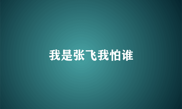 我是张飞我怕谁