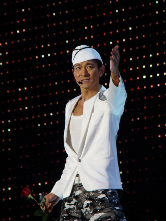 ALways刘德华世界巡回演唱会2013