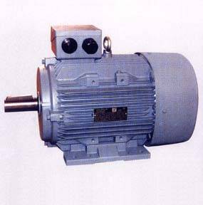 稀土永磁同步电动机