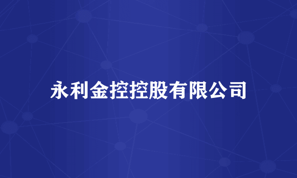 永利金控控股有限公司