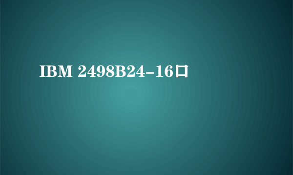 IBM 2498B24-16口
