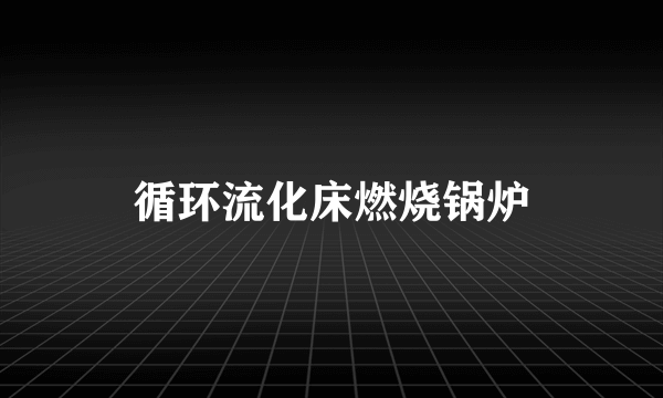 循环流化床燃烧锅炉