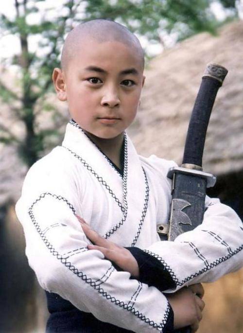 展昭（电视剧《少年包青天》系列中的男三号）