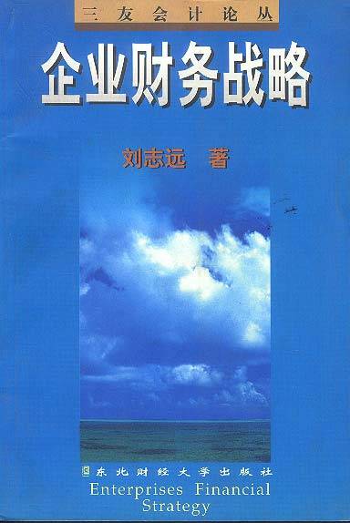 企业财务战略