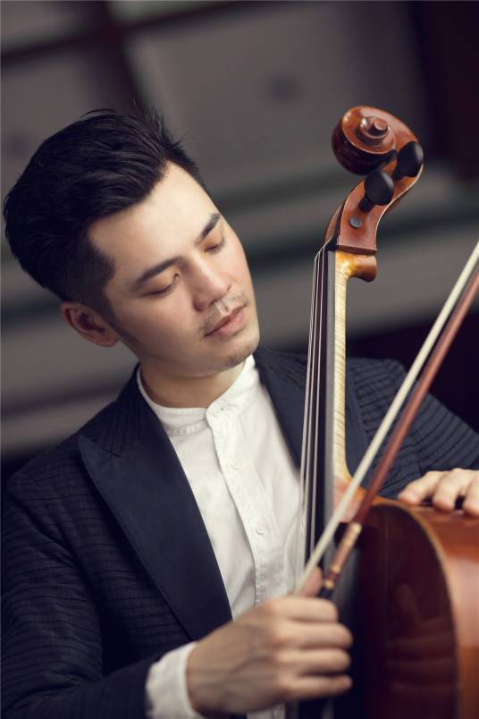 陈卫平（农工党上海音乐学院支部委员，上海音乐学院管弦系大提琴副教授）